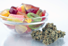 What Cbd Gummies Are Good for Pain