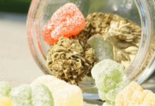 What Happens if You Eat Expired Cbd Gummies