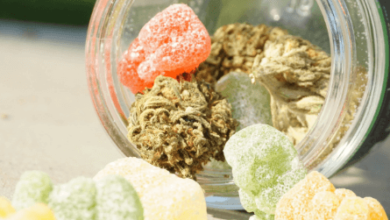 What Happens if You Eat Expired Cbd Gummies