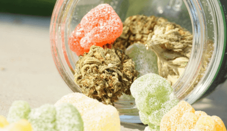 What Happens if You Eat Expired Cbd Gummies