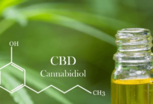 How Long Does Cbd Oil Take to Work