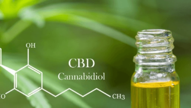 How Long Does Cbd Oil Take to Work