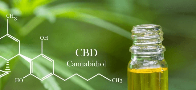 How Long Does Cbd Oil Take to Work