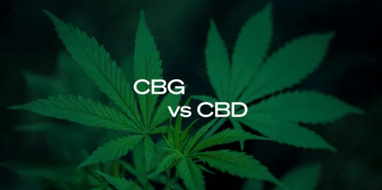 What Is Cbg Vs Cbd