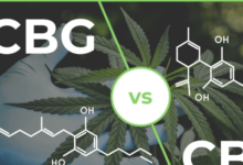 What Is Cbg Vs Cbd