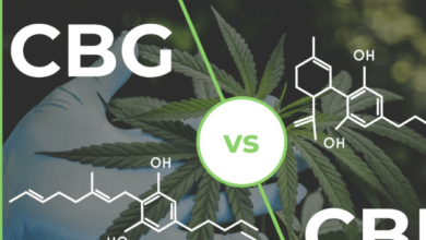 What Is Cbg Vs Cbd