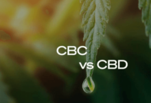 What Is Cbc Vs Cbd