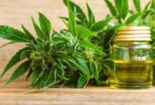 What Is CBD Used For?