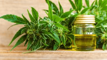 What Is CBD Used For?