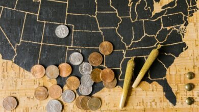 cannabidiol legality and regulations