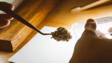 cbd and drug testing