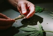 cbd classification as drug