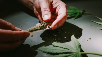 cbd classification as drug