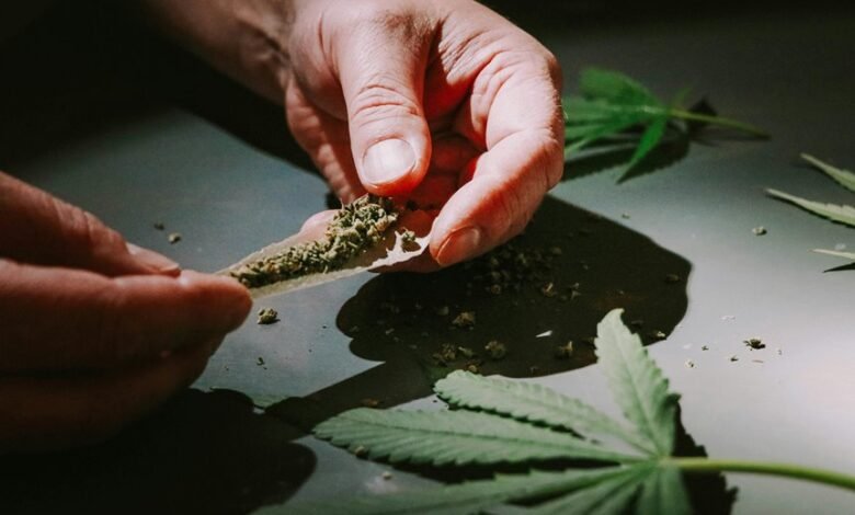 cbd classification as drug
