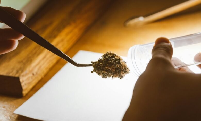 cbd drug test detection
