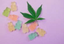 cbd edibles for dogs
