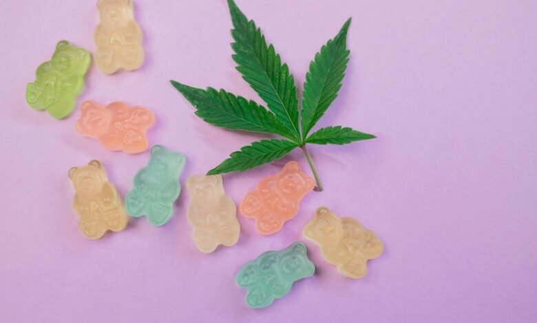 cbd edibles for dogs