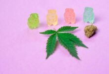 cbd gummies overdose possibility