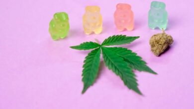 cbd gummies overdose possibility