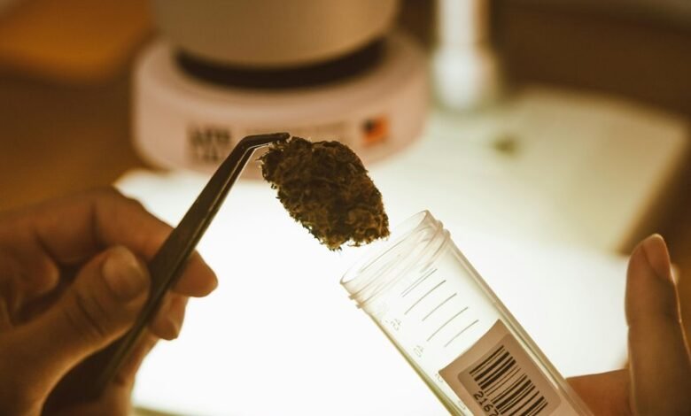 cbd gummies production process