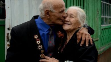cbd gummies safety for seniors