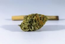 cbd is not psychotropic