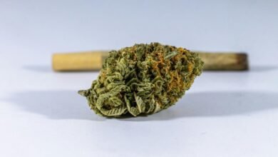 cbd is not psychotropic