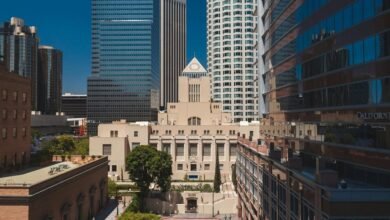 cbd license application process