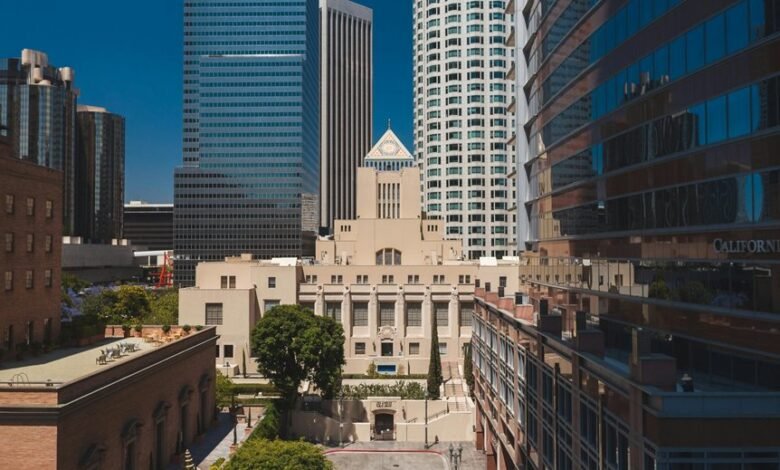 cbd license application process