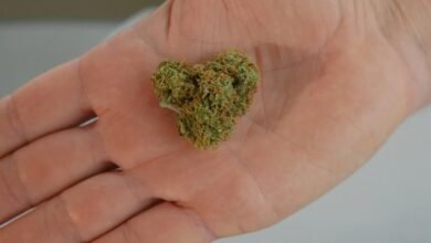 cbd may have stickiness