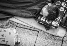 cbd promotes restful sleep
