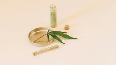 cbd s effect on anxiety