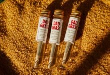 cbd s effects and benefits