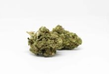 cbd vape drug test results
