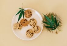 duration of cbd effects