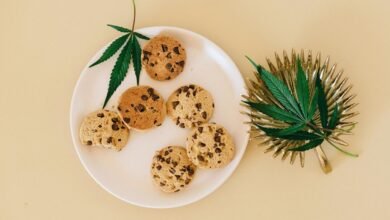 duration of cbd effects