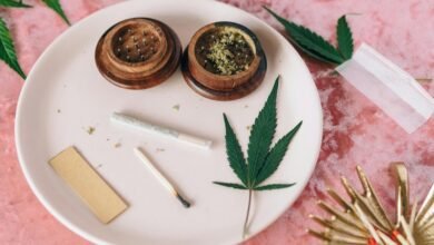 highest cbd cannabis preparation