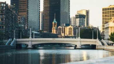 loq meaning in cbd