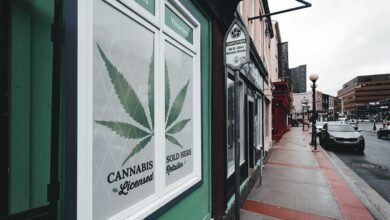 obtain cbd sales license
