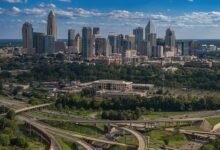 purchase charlotte s web cbd