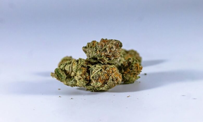 pure cbd extraction form