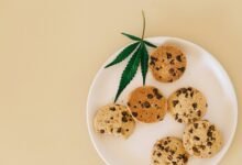 uses for cbd isolate