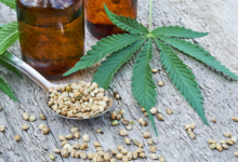 Cannabis Concentrates: Potent Extracts for Experienced Consumers