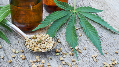 Cannabis Concentrates: Potent Extracts for Experienced Consumers