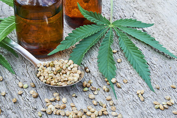 Cannabis Concentrates: Potent Extracts for Experienced Consumers